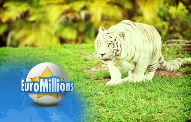 Pursue Your Favorite Lotto With Jackpot Hunt Pursue Your Favorite Lotto With Jackpot Hunt