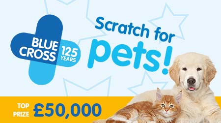 BlueCrossForPets