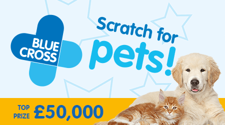 BlueCrossForPets