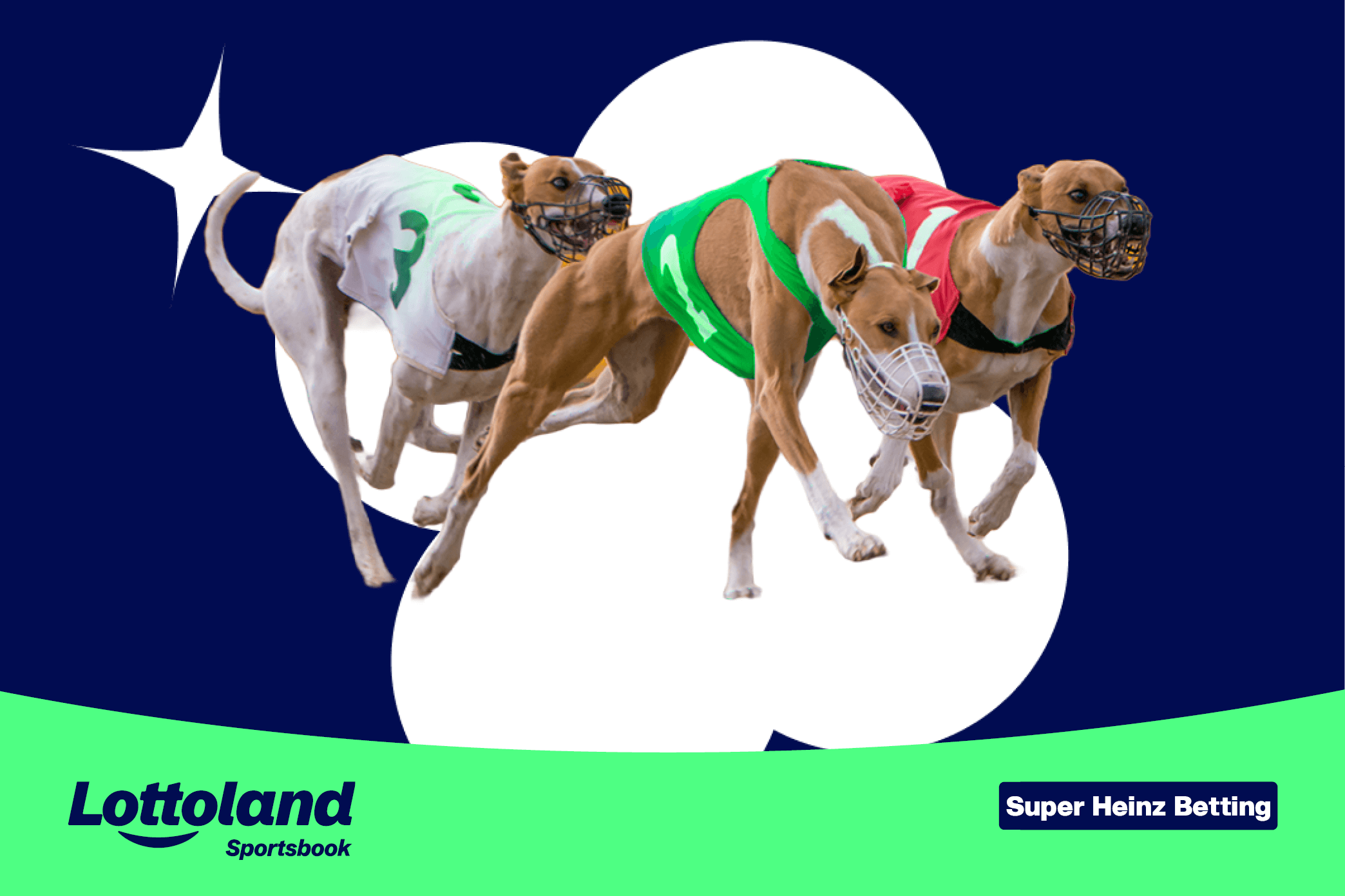 Three greyhounds in the middle of a race, one of which may make up some ones super heinz bet